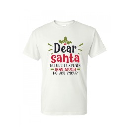 Dear Santa T-Shirt