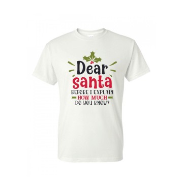 Dear Santa T-Shirt